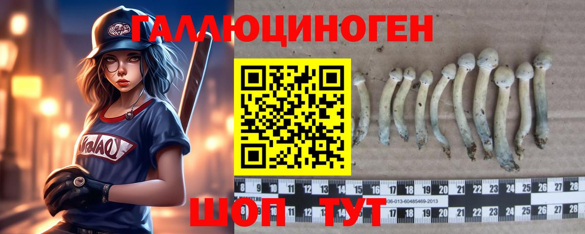 Псилоцибиновые грибы Psilocybe Кимовск